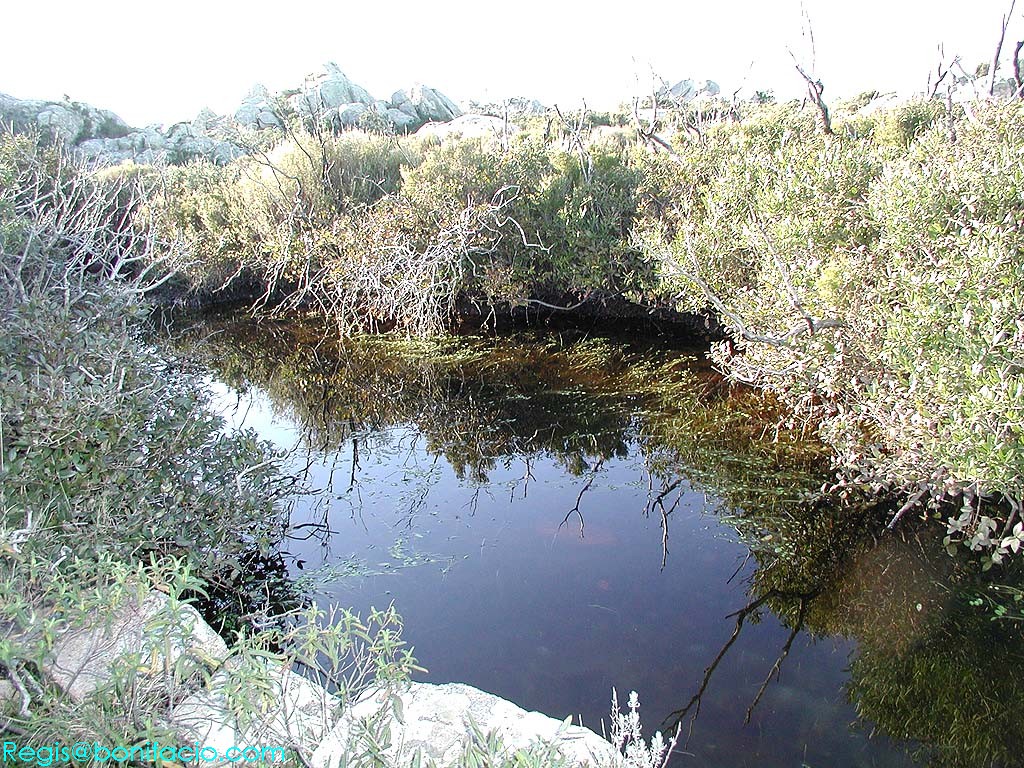Image de Bonifacio 2001