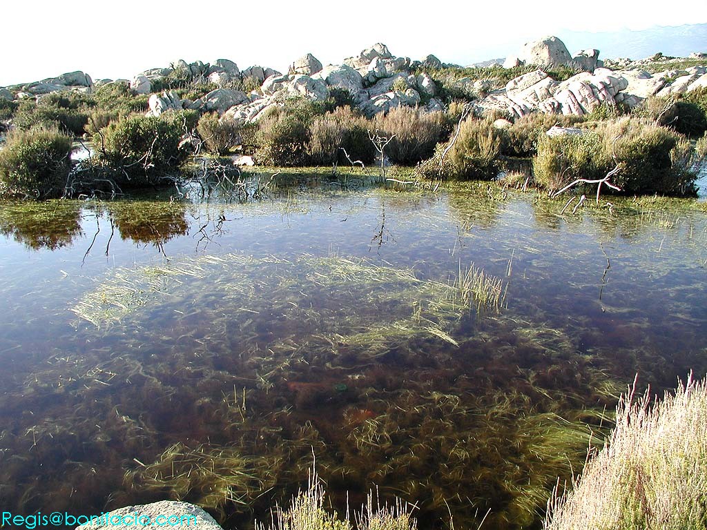Image de Bonifacio 2001