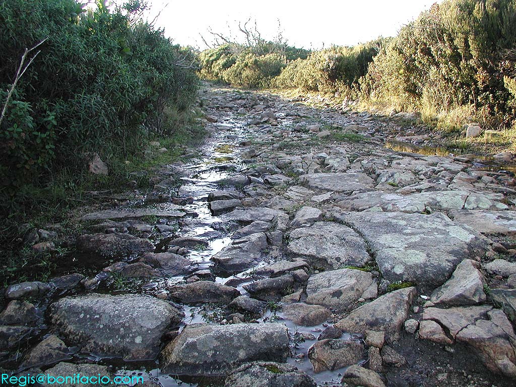Image de Bonifacio 2001