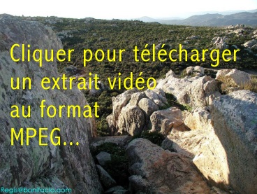 Extrait vido de Bonifacio 2001